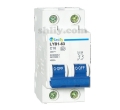 LYB1-63 High Breaking Mini Circuit Breaker